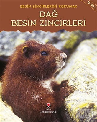 Besin Zincirlerini Korumak - Dağ Besin Zincirleri